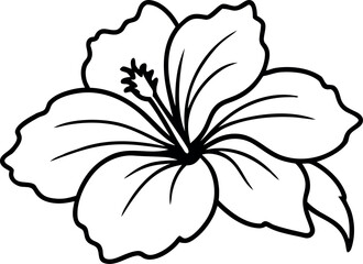 hibiscus line art vector, hibiscus flower outline © Icon Shop