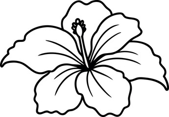 hibiscus line art vector, hibiscus flower outline © Icon Shop