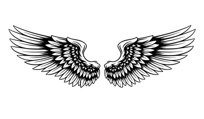 Fototapeta premium Angel wings vector illustration symmetrical feather wings silhouette isolated on white background