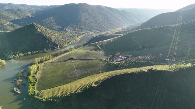 Aerial view of douro valley vineyard terraces and river