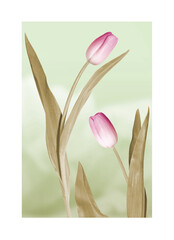 A painting made of beautiful, soft pink tulipsr. Decorative tulips picture. © Vidal