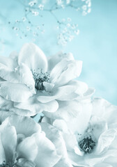 A painting made of beautiful, soft blue roses. Decorative rose picture. © Vidal