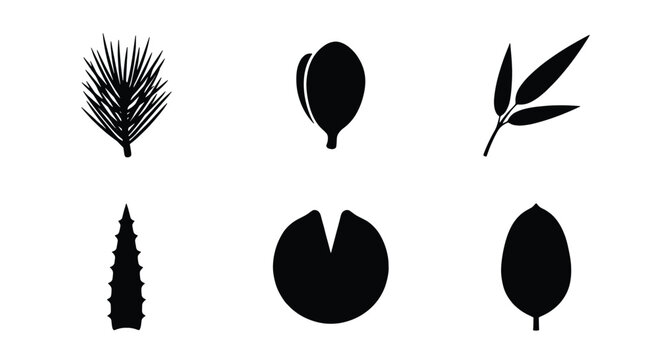 Minimalist leaf silhouette icons set, black botanical foliage vector elements, 6 organic plant shapes for eco-friendly branding and logo design