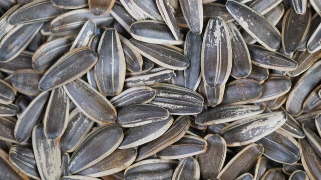 Sunflower seed composition. Macro shot revealing textured salted sunflower seeds. Highresolution image focusing on salted roasted sunflower seed structures and patterns