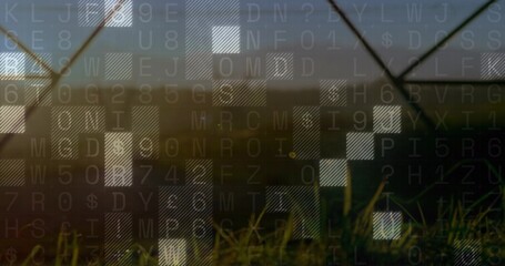 Naklejka premium Displaying alphanumeric overlay blending over blades of grass and distant fence dusk, hatched tiles
