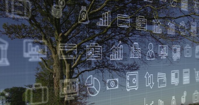 Dominating large deciduous tree spreading branches across park, with faint grid and tech icons