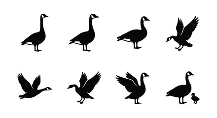 Canada goose silhouette set, 8 flying and standing waterfowl vector icons © Designhoost Ltd