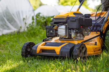 Obraz premium Yellow lawnmower on a background of green grass. A man mows dandelions with a lawnmower. Lawn mower cuts green grass.