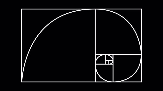 Animation golden ratio fibonacci Sequence with lines grid and shapes on transparent background. 2D Flat animation