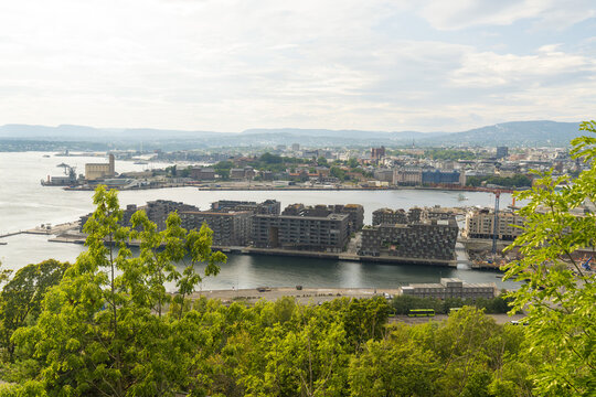 View of modern buildings meet the sea under a cloudy sky, seen through lush green foliage, creating a vibrant contrast of urban and natural elements, Oslo, Norway.