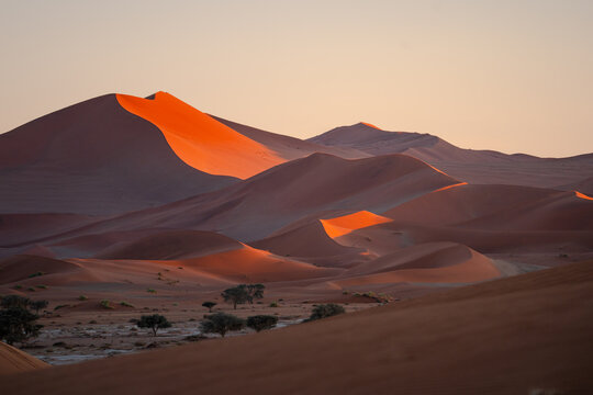 View of towering, sun-kissed dunes casting long shadows over the arid landscape, punctuated by sparse trees, Sossusvlei, Hardap Region, Namibia.