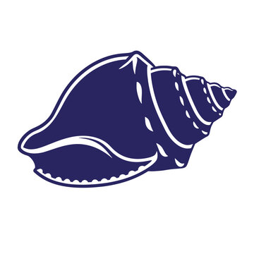 Dark blue conch shell with white outline dark blue shell seashell ocean