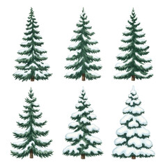 Obraz premium Six unique, hand-painted watercolor green spruce trees with varying snow and delicate brushstrokes, isolated on transparent, graphic design holiday asset concept