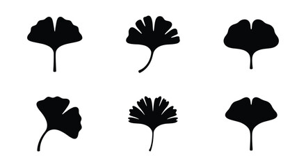 Ginkgo biloba leaf silhouettes, set of 6 black botanical icons, minimalist japanese ginkgo foliage vector elements for logo design and branding © Akash