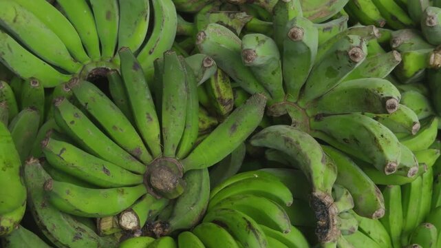 Rows of fresh green bananas displayed at a traditional Asian stall. Natural lighting highlights texture and color, capturing an authentic market scene with tropical produce and local lifestyle.