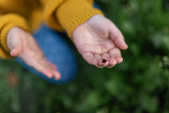 Ladybug resting on open hand outdoors family bonding and wellbeing