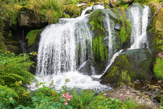 Triberg Waterfall in Black Forest cascading over mossy rocks