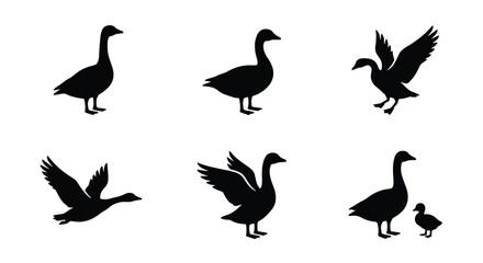 Goose silhouette vector set, black waterfowl bird icons in flying and standing poses, 6 wild geese and gosling elements for nature design © Siam