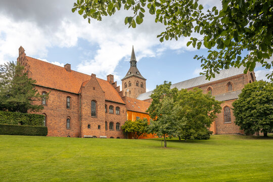 St Knud's Cathedral in Odense with green lawn and trees