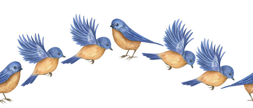 Blue bluebirds in flight and sitting poses seamless banner. Watercolor illustration of small spring birds. Horizontal waving border design with avian wildlife for decoration and festive greeting card