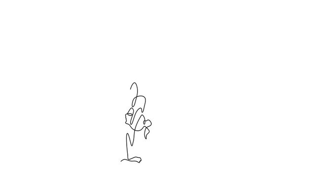 Animated self drawing of continuous line draw of  Gymnast Handstand Pose    Full length one line animation. 4K