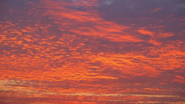 A sunrise sky timelapse video footage featuring dense altocumulus clouds glowing in orange and red hues, creating a dramatic textured cloudscape as early morning light spreads across the horizon. 4k.
