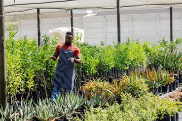 Mid adult African American man wearing apron checking phone in shadehouse nursery near succulents © wavebreak3