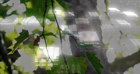 Naklejka premium Displaying cluster of green serrated leaves on thin branch at park canopy, with binary overlay