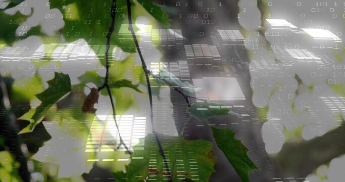 Displaying cluster of green serrated leaves on thin branch at park canopy, with binary overlay