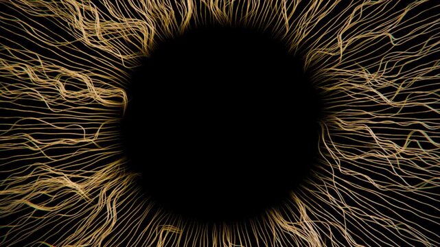 3D Fiber Iris Macro animation