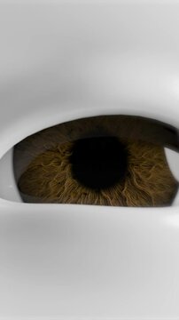 3D Robot Red Gaze loop