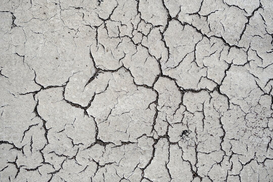 Weathered white asphalt surface with extensive cracking patterns and aged texture. Rough urban pavement shows natural wear and deterioration. For backgrounds, overlays, and grungy design elements.
