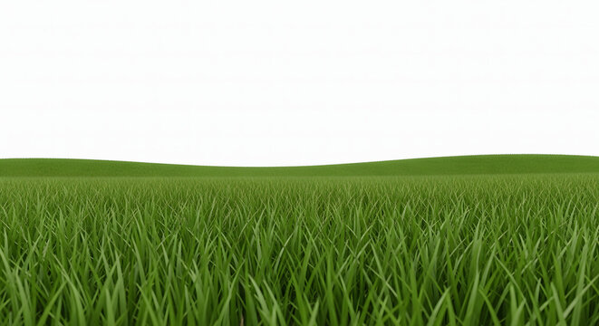 A serene landscape of lush green grass under a clear white sky