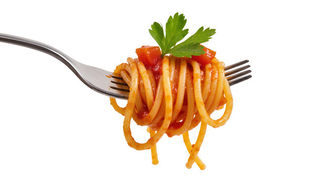 Spaghetti with Tomato Sauce and Fresh Parsley on Metal Fork