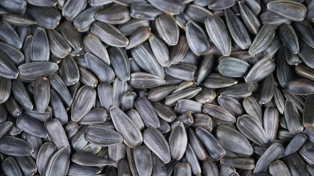 Sunflower seed macro. Textured roasted sunflower seed pile under soft light. Highresolution image showcasing roasted sunflower shells with salt in rustic market setting