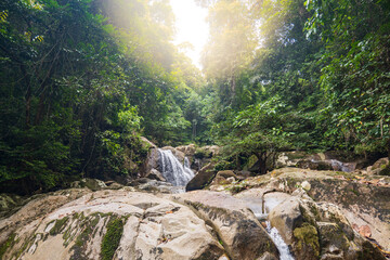 rainforest jungle trek landscape at Gunung Gading National Park in Borneo, Malaysia © Marius Karp