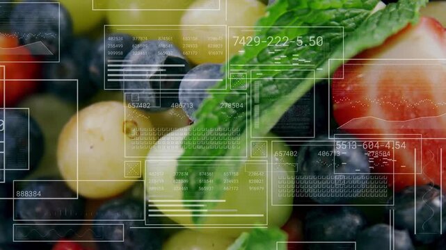 On load berry cluster staying while HUD overlaying wireframe boxes and round counter for food tech