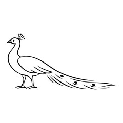 Logotipo con dibujo minimalista con líneas de un pavo real de pie visto de perfil  © teracreonte