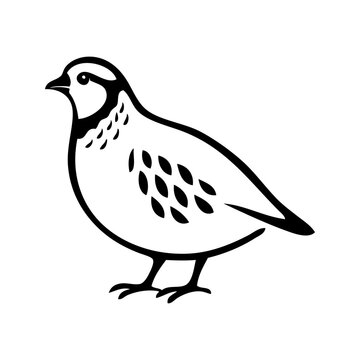 Logotipo con dibujo minimalista con l&iacute;neas de una perdiz de pie vista de perfil 