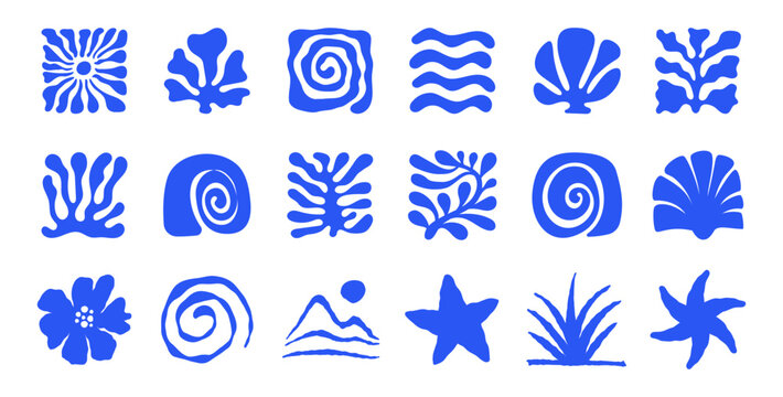 Vector logo and print design templates, summer palms, tropical hand drawn illustrations, surfing concepts, vacation and travel,  doodles and organic shapes and forms