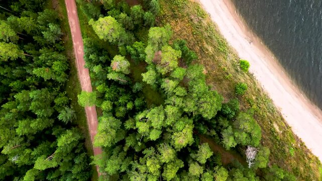 Cinematic 4K aerial
top-down view of a 
remote sandy beach 
and forest road. 
Wild coastline of 
Ladoga lake with 
pine trees. Summer 
travel and adventure.
