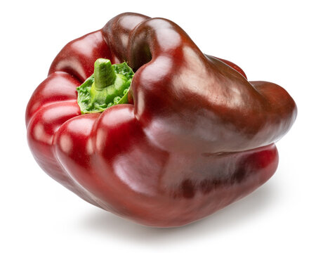Chocolate bell pepper (Capsicum annuum) isolated on white background. Fresh organic sweet vegetable with glossy dark maroon skin