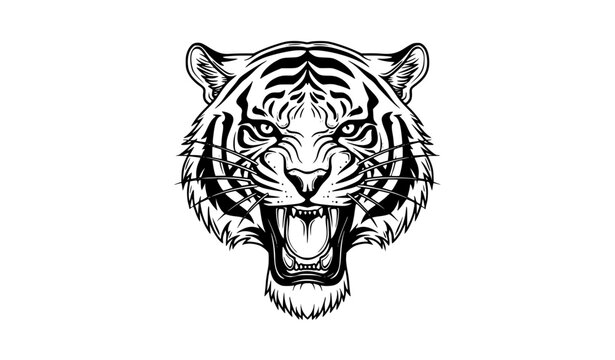 Roaring tiger head vector tattoo style illustration with detailed line art and fierce expression