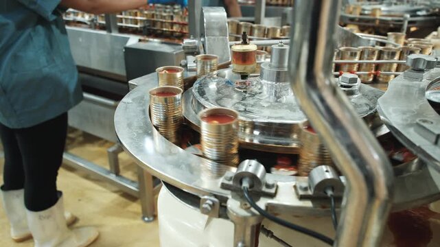 Close-up, automated conveyor rail machine with sardine fish in tomato sauce, filling in can, prepared for instant food production industry, sterile hygiene warehouse, manufacturing factory process.