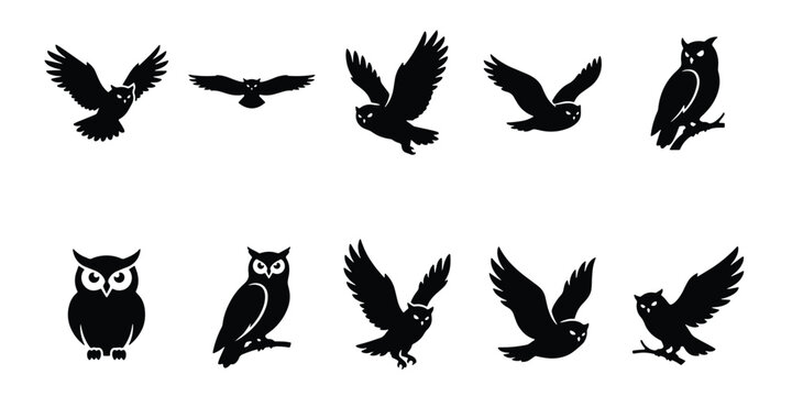 Black owl silhouette collection, 10 vector bird icons in flight and perched poses, nocturnal wildlife predator symbols for logo design and nature branding