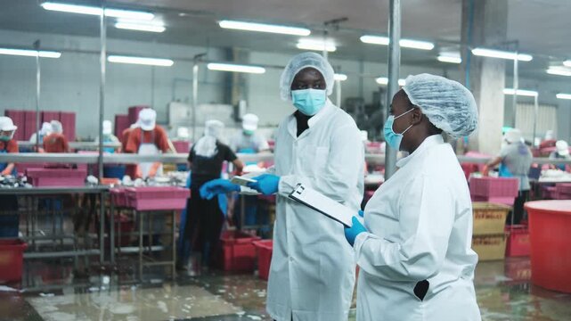 Two African American factory supervisors discuss and examine quality control, inspect and monitor fish chopping, and food production process in chilled, sterile warehouse, for logistics distribution.