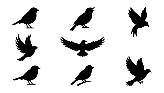 Bird silhouette collection, 8 flying and perched avian icons, black songbird vector set