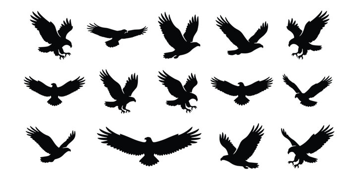 Eagle silhouette collection, 14 flying hawk and falcon bird vectors, black predatory bird shapes, soaring eagle icons for logo design