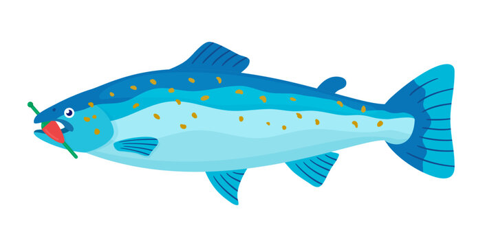 Salmon fish with a green and red fishing bobber in its mouth is on a white background, side view. Color vector illustration