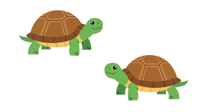 Two cartoon turtles facing each other